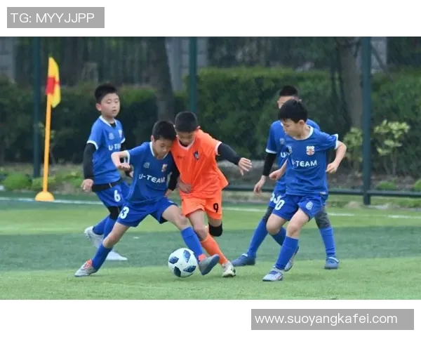 西安足球队的节奏与发展探讨：聚焦地方足球的未来与挑战